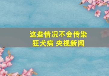 这些情况不会传染狂犬病 央视新闻